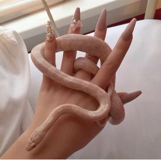 маникюр бежевого цвета beige manicure